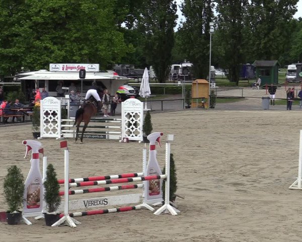 Reitturnier Hamm-Rhynern 2022