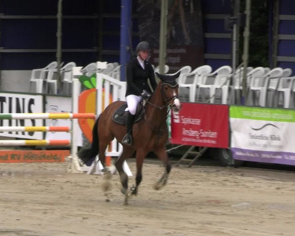 Reitturnier Hellefeld 2022