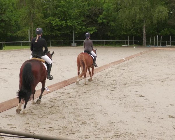 Reitturnier Leingarten 2022