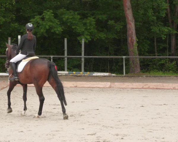 Reitturnier Leingarten 2022