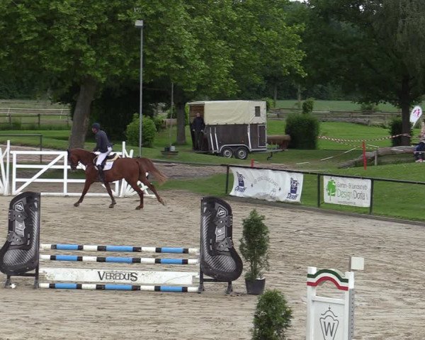 Reitturnier Hamm-Rhynern 2022