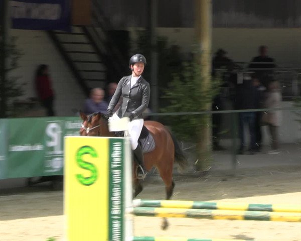 Reitturnier Hellefeld 2022