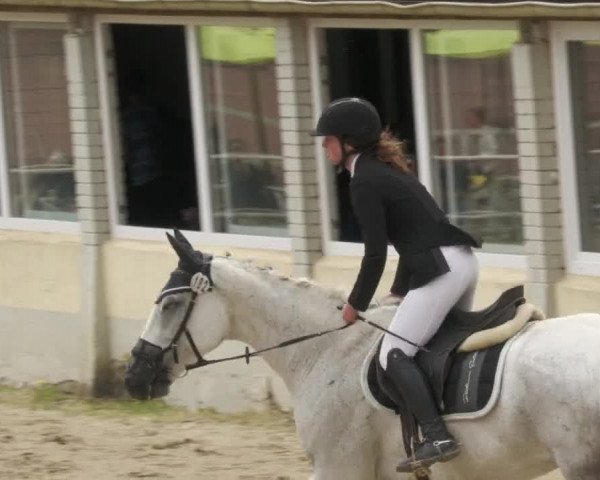 Reitturnier Billigheim 2022