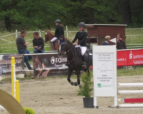 Reitturnier Billigheim 2022