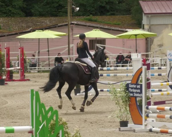 Reitturnier Billigheim 2022