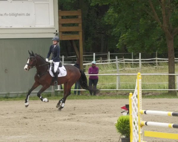 Reitturnier Billigheim 2022