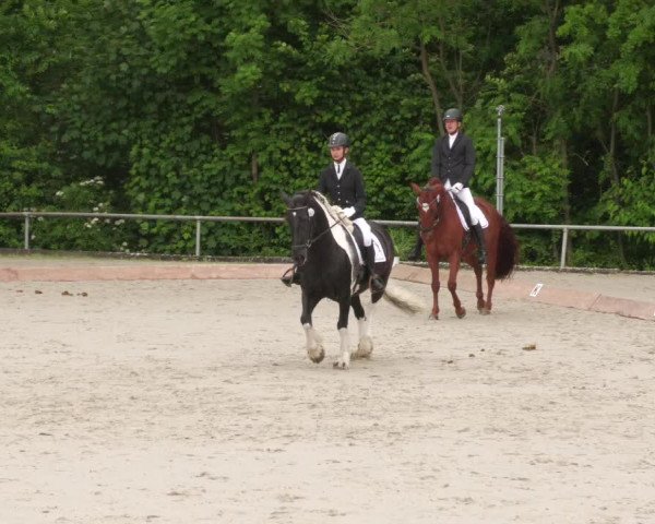 Reitturnier Leingarten 2022