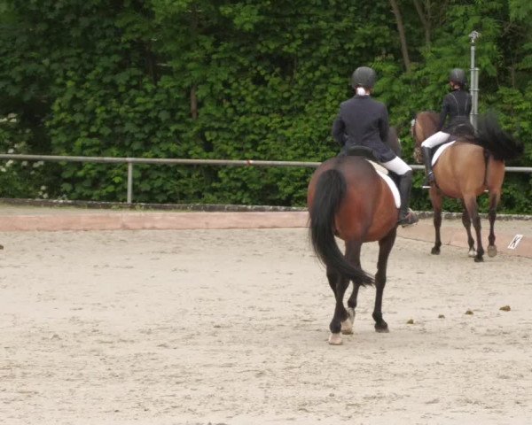 Reitturnier Leingarten 2022