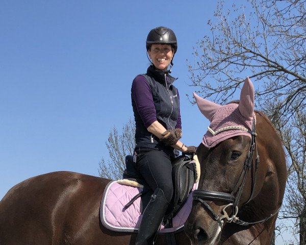 broodmare Via Rossa (Westphalian, 2012, from Vitalis)