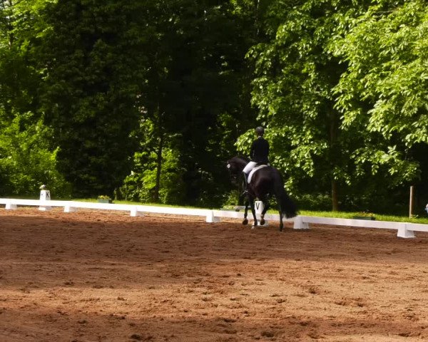 Reitturnier Königsborn 2022