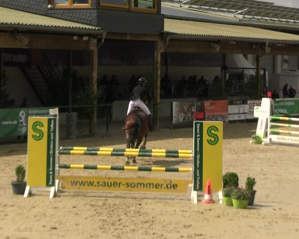 Reitturnier Hellefeld 2022