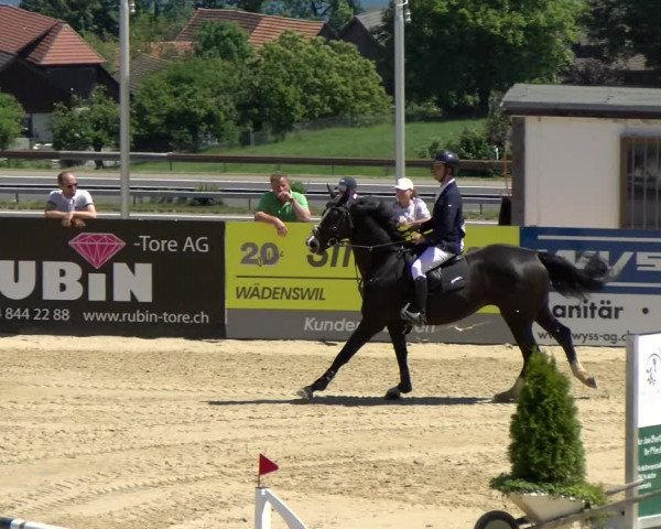 Reitturnier Wädenswil 2022