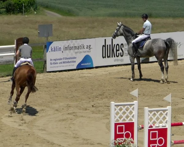 Reitturnier Wädenswil 2022