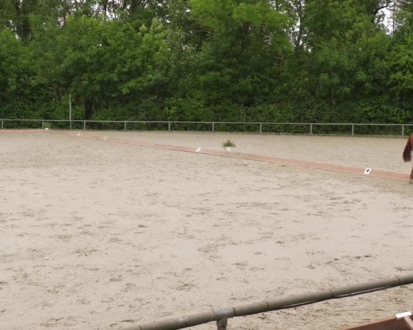 Reitturnier Leingarten 2022