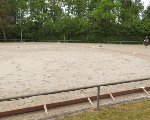 Reitturnier Leingarten 2022