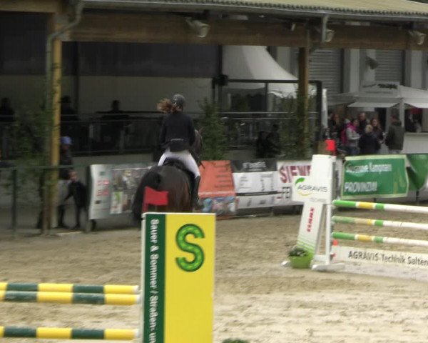 Reitturnier Hellefeld 2022