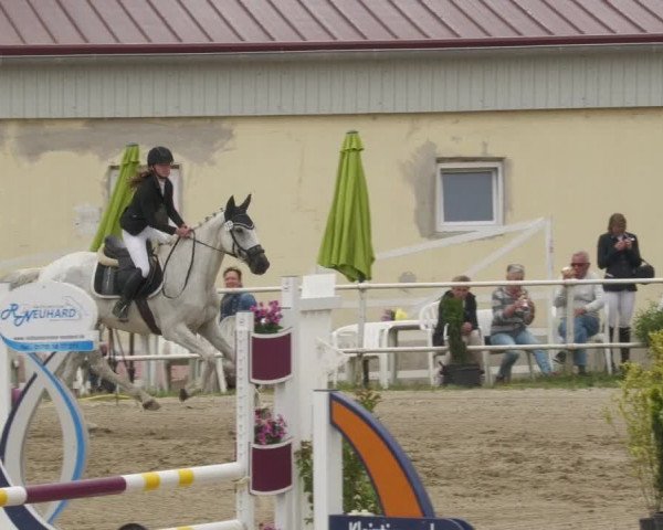 Reitturnier Billigheim 2022