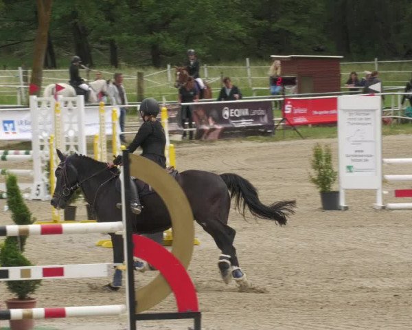 Reitturnier Billigheim 2022