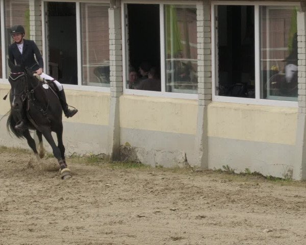 Reitturnier Billigheim 2022