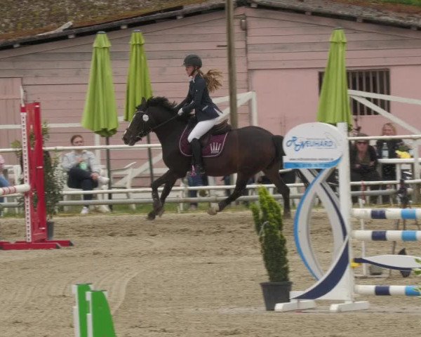 Reitturnier Billigheim 2022