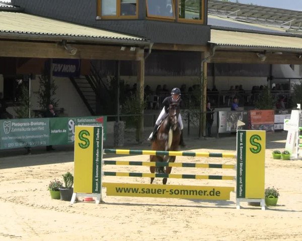 Reitturnier Hellefeld 2022