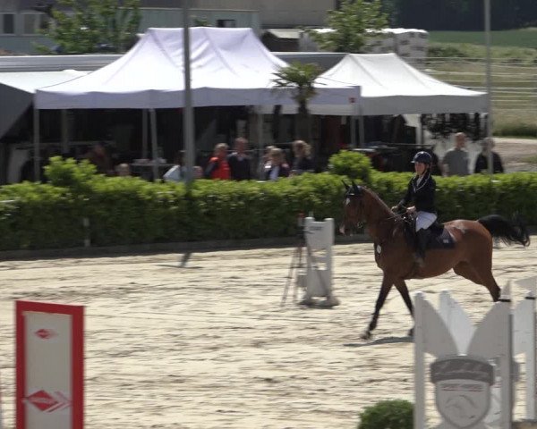 Reitturnier Bornheim-Widdig 2022