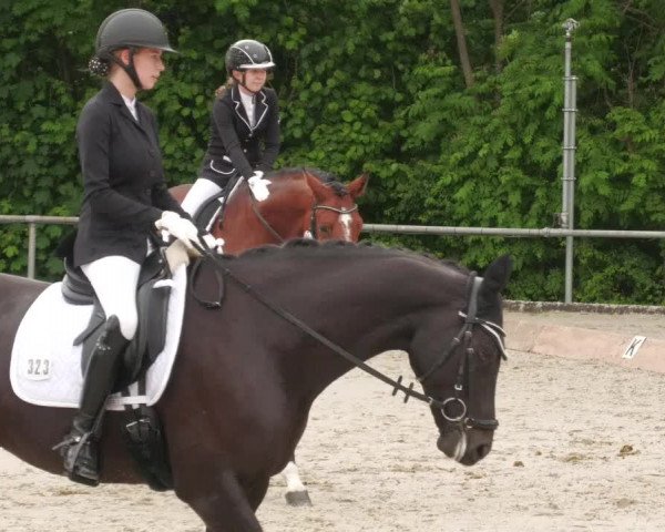 Reitturnier Leingarten 2022