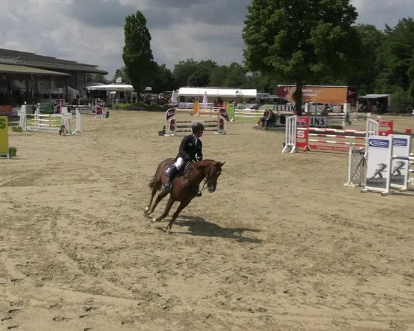 Reitturnier Hellefeld 2022