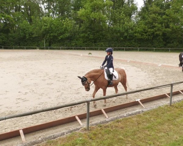 Reitturnier Leingarten 2022