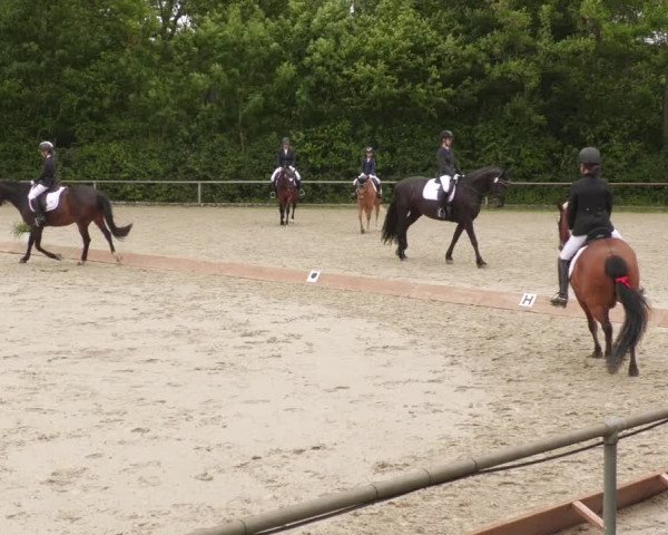 Reitturnier Leingarten 2022