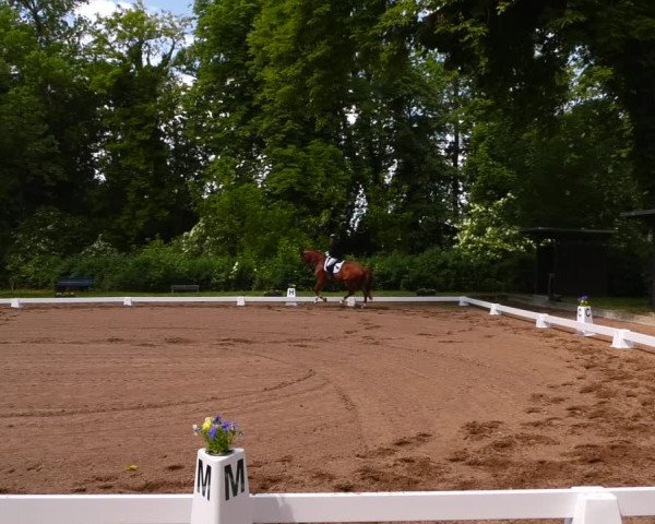 Reitturnier Königsborn 2022