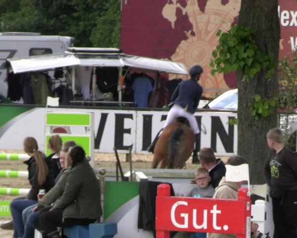 Reitturnier Hellefeld 2022