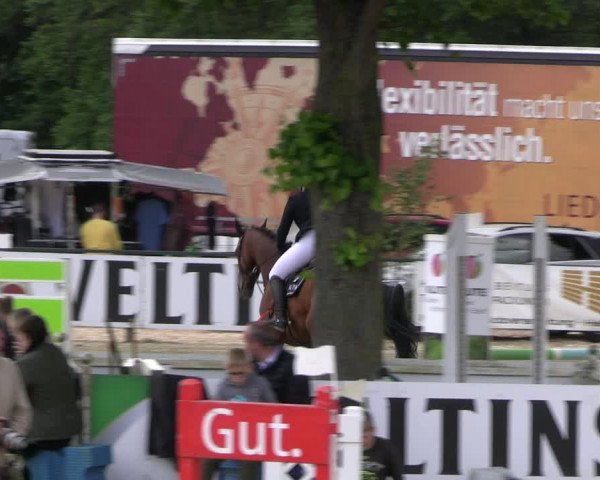 Reitturnier Hellefeld 2022