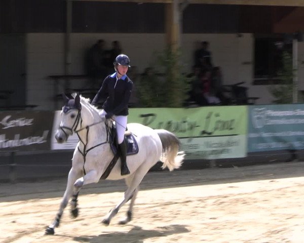 Reitturnier Hellefeld 2022