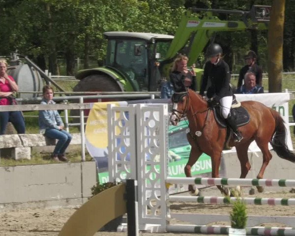 Reitturnier Billigheim 2022