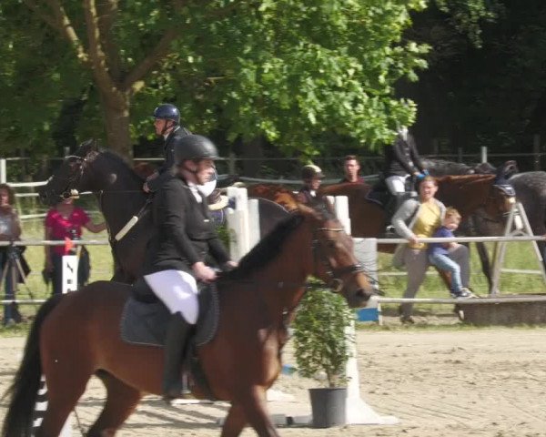Reitturnier Billigheim 2022