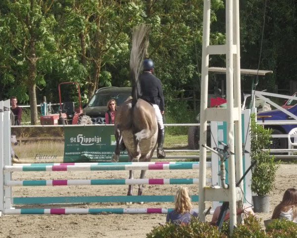 Reitturnier Billigheim 2022