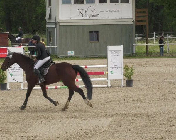 Reitturnier Billigheim 2022