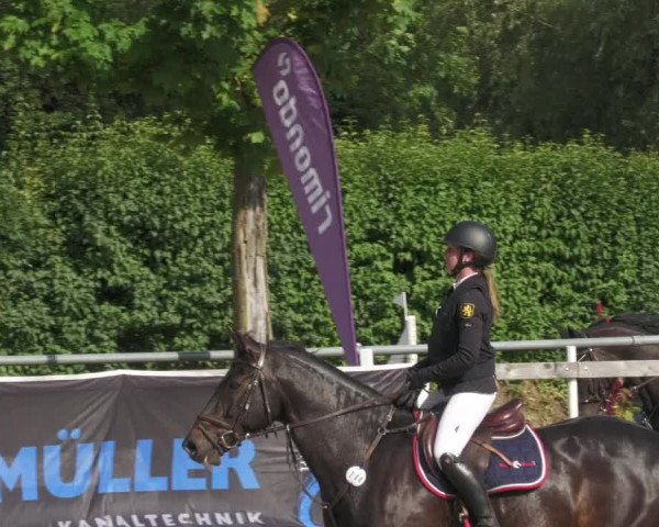 Reitturnier Billigheim 2022