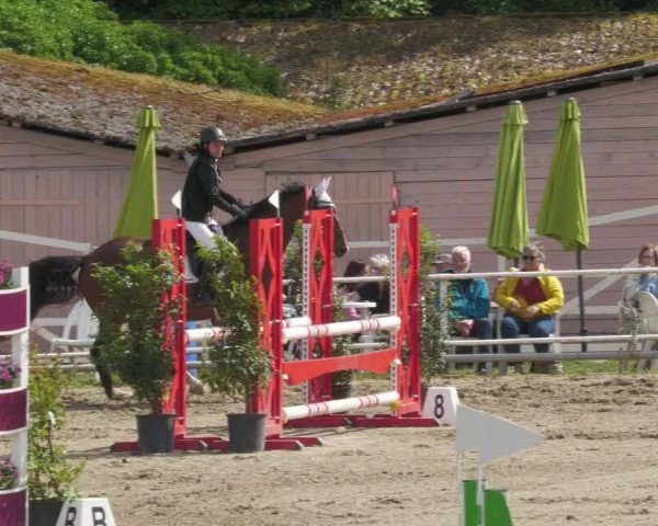 Reitturnier Billigheim 2022