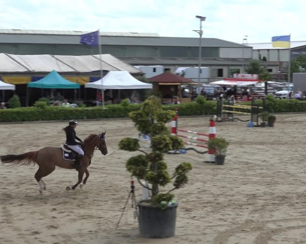 Reitturnier Bornheim-Widdig 2022