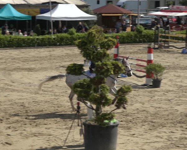 Reitturnier Bornheim-Widdig 2022