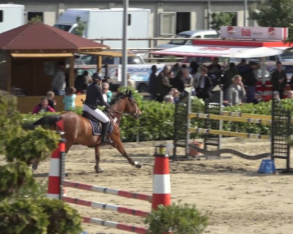 Reitturnier Bornheim-Widdig 2022