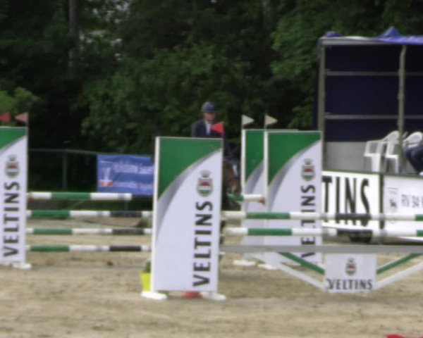 Reitturnier Hellefeld 2022