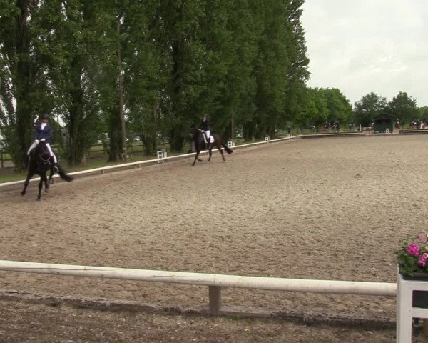 Reitturnier Hamm-Rhynern 2022