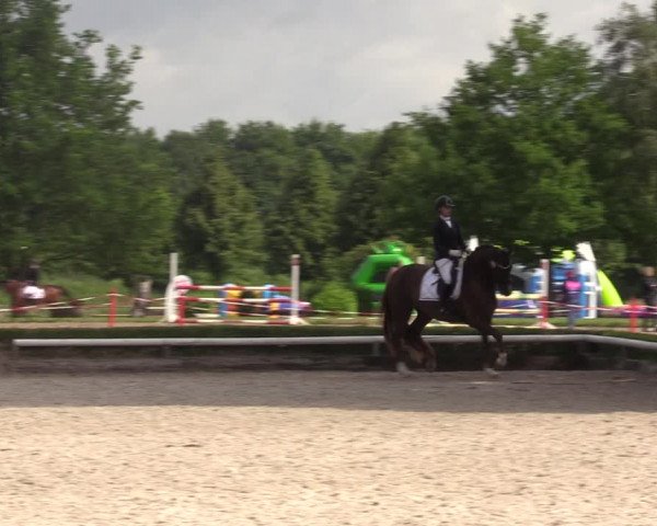 Reitturnier Hamm-Rhynern 2022