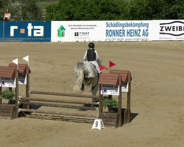 Reitturnier Wädenswil 2022