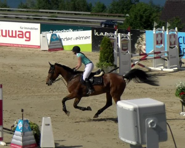 Reitturnier Wädenswil 2022