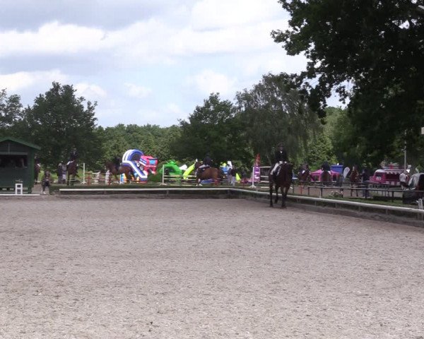 Reitturnier Hamm-Rhynern 2022