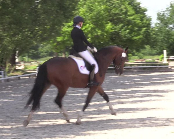 Reitturnier Hamm-Rhynern 2022